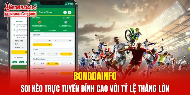 bongdainfo