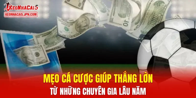 Mẹo cá cược giúp thắng lớn từ những chuyên gia lâu năm