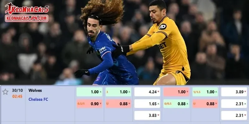 Tỷ lệ kèo chi tiết của trận Wolves vs Chelsea