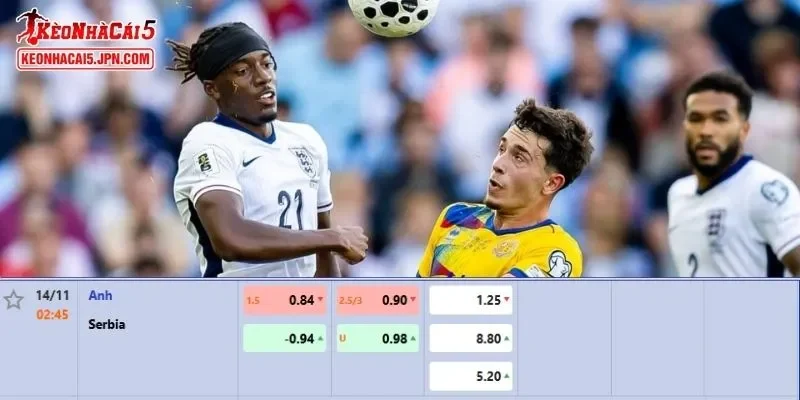 Tỷ lệ kèo chi tiết của của trận Anh vs Serbia
