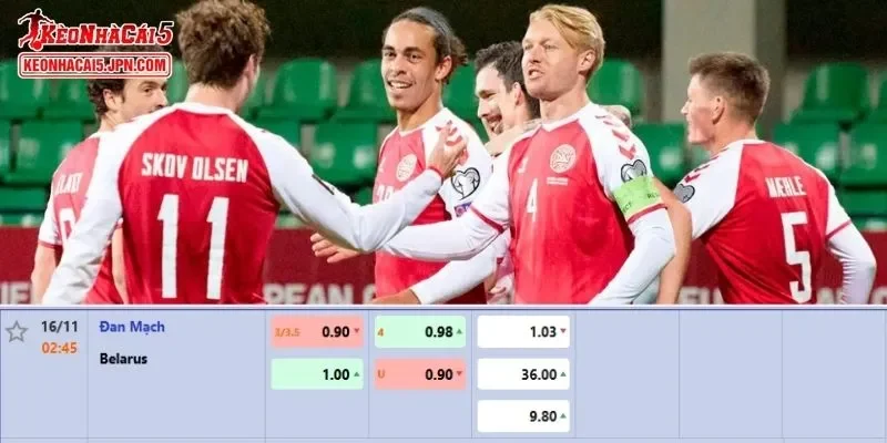 Tỷ lệ kèo chi tiết của của trận Đan Mạch vs Belarus