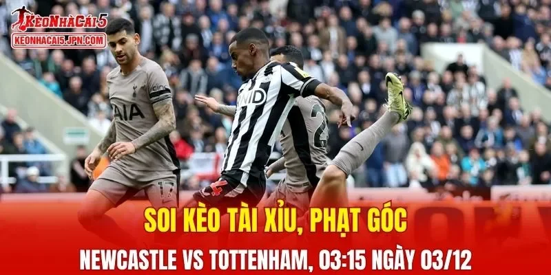 Cuộc chạm trán giữa Newcastle và Tottenham hứa hẹn nhiều điều thú vị