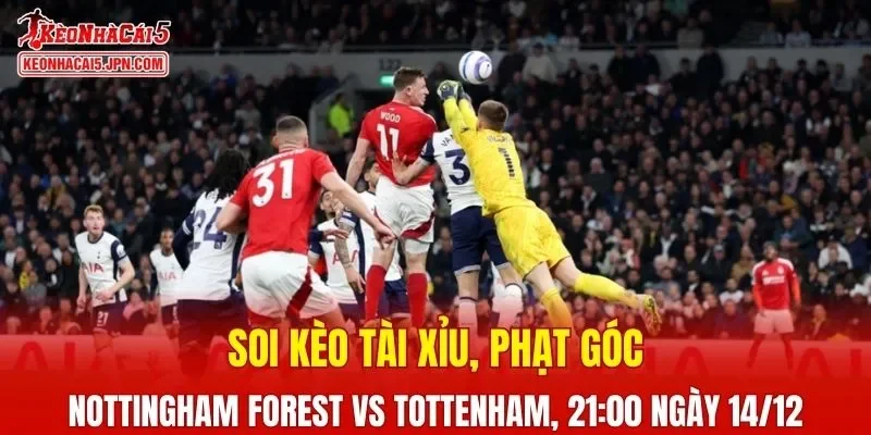 Cuộc đối đầu giữa Nottingham Forest vs Tottenham hứa hẹn sẽ mang đến nhiều trận cầu kịch tính