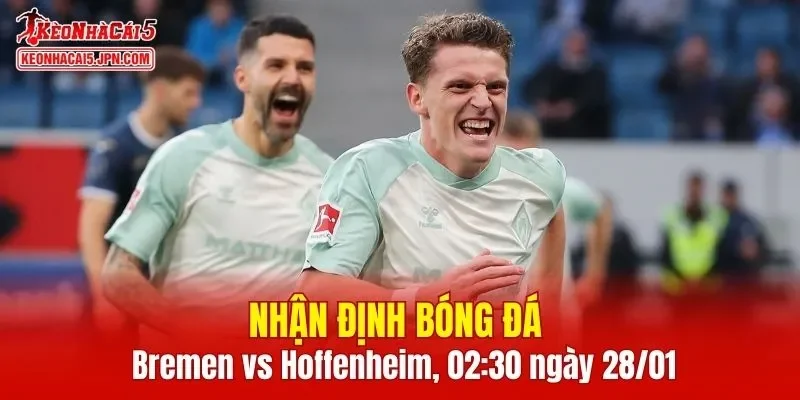 Cuộc đối đầu Bremen vs Hoffenheim đang thu hút sự chú ý đáng kể của người hâm mộ