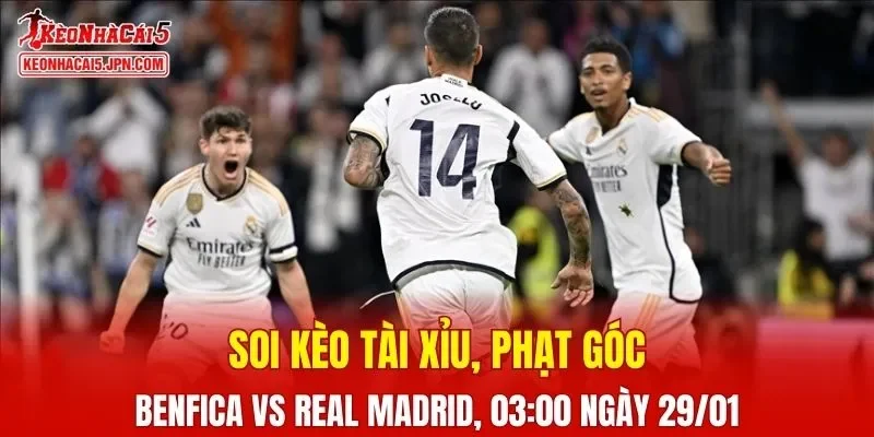 Cuộc đối đầu giữa Benfica và Real Madrid hứa hẹn mang đến những khoảnh khắc đầy kịch tính