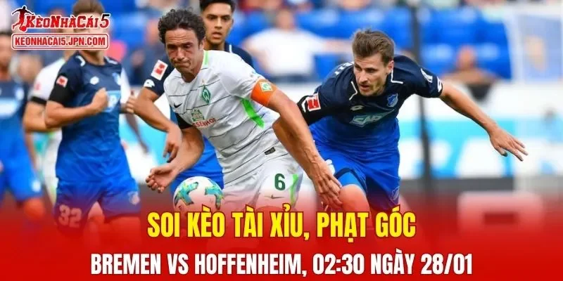 Cuộc đối đầu giữa Bremen và Hoffenheim đang chứa đựng nhiều kịch tính