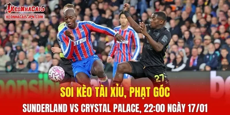 Trận đấu giữa Sunderland và Crystal Palace đang hứa hẹn sẽ bùng nổ