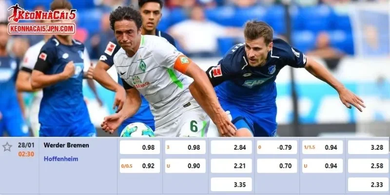 Tỷ lệ kèo chi tiết của của trận Bremen vs Hoffenheim