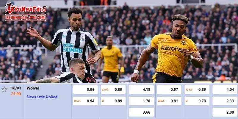 Tỷ lệ kèo chi tiết nhất cho trận đấu giữa Wolves vs Newcastle