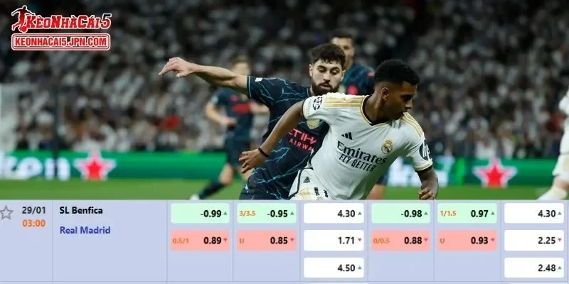 Tỷ lệ kèo được phân tích kỹ lưỡng nhất cho trận đấu giữa Benfica vs Real Madrid