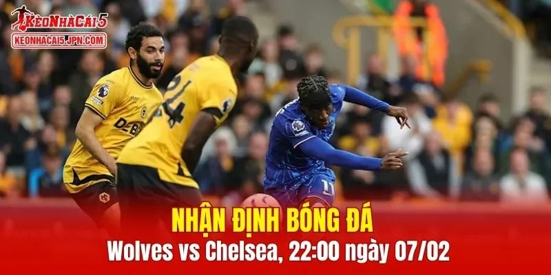 Cuộc đối đầu Wolves vs Chelsea hứa hẹn sẽ mang đến nhiều điều thú vị