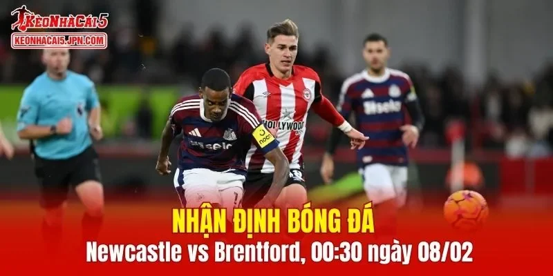 Trận đấu giữa Newcastle vs Brentford hứa hẹn sẽ rất hấp dẫn