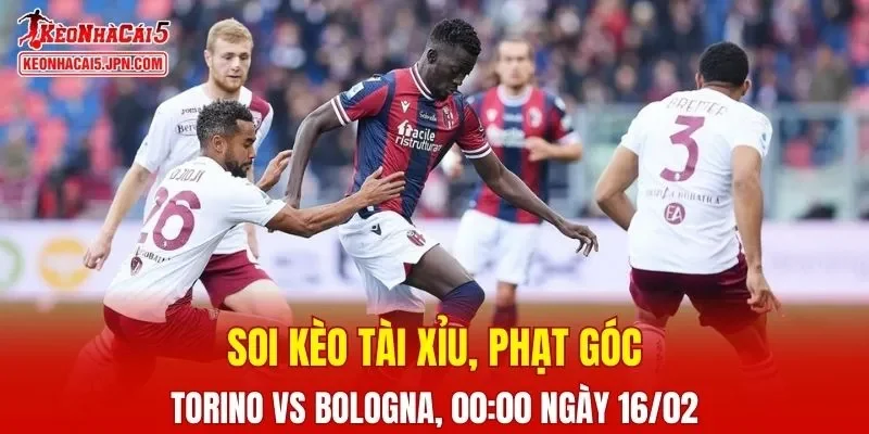 Trận đấu giữa Torino và Bologna đang hứa hẹn sẽ bùng nổ