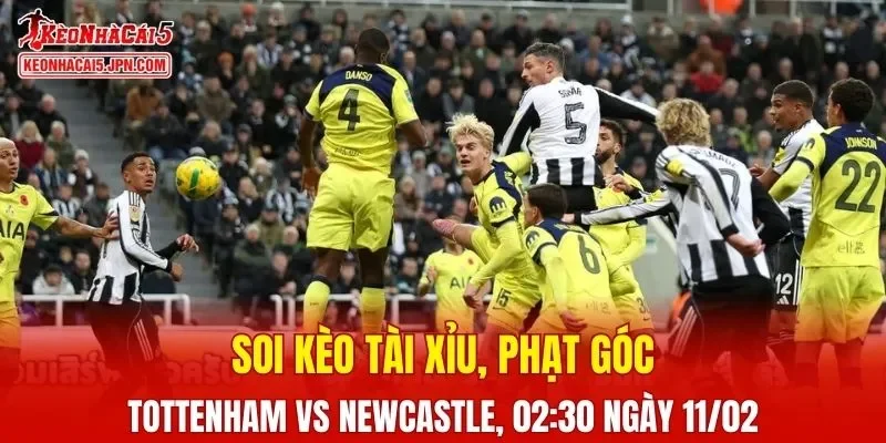 Trận đấu giữa Tottenham vs Newcastle đang hứa hẹn sẽ bùng nổ