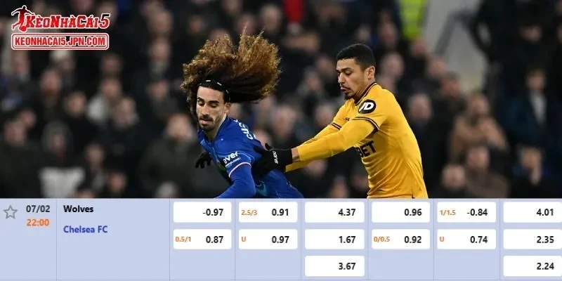 Tỷ lệ kèo chi tiết của của trận Wolves vs Chelsea
