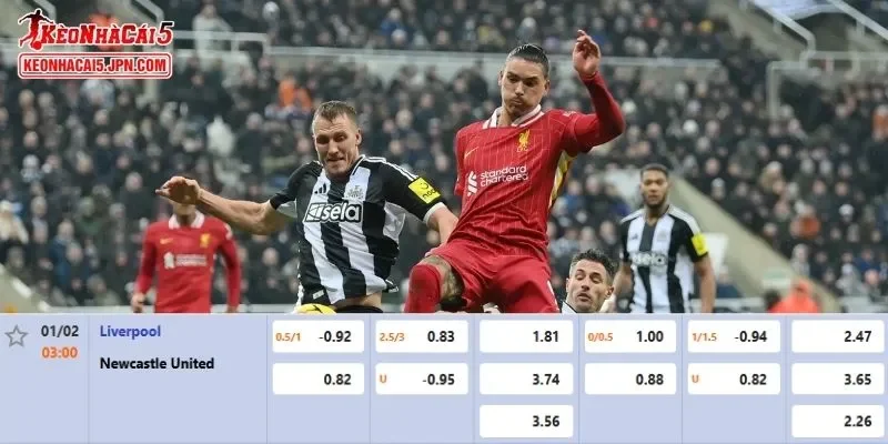 Tỷ lệ kèo chi tiết của trận Liverpool vs Newcastle