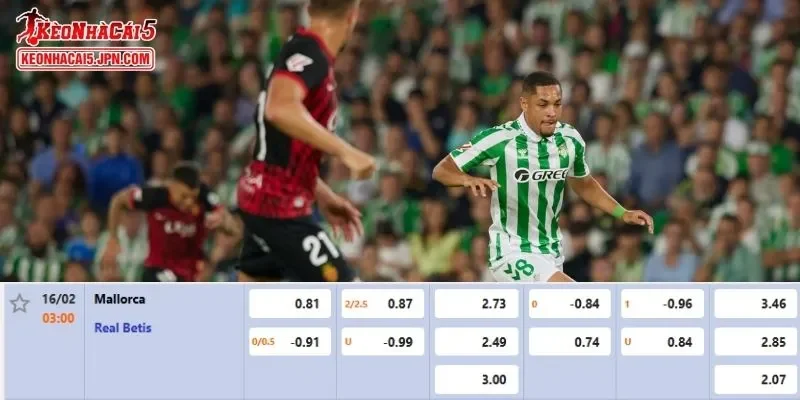 Tỷ lệ kèo chi tiết nhất cho trận đấu giữa Mallorca vs Real Betis