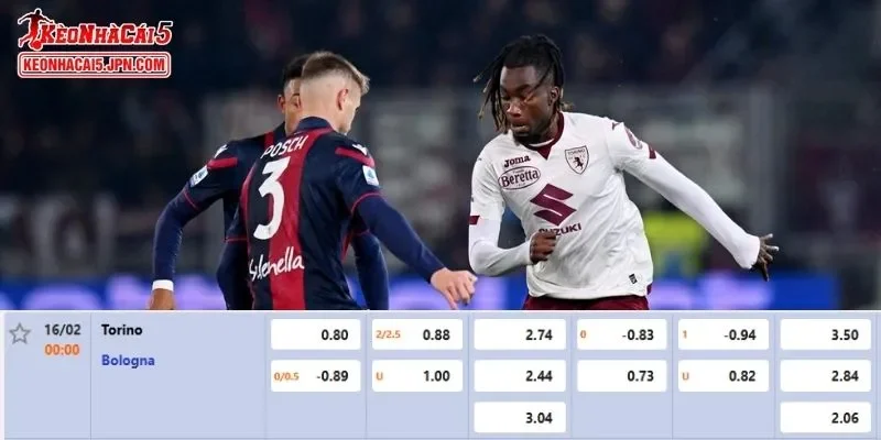 Tỷ lệ kèo chi tiết nhất cho trận đấu giữa Torino vs Bologna
