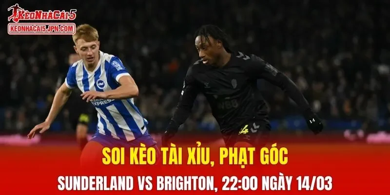 Trận đấu giữa Sunderland và Brighton đang hứa hẹn sẽ bùng nổ