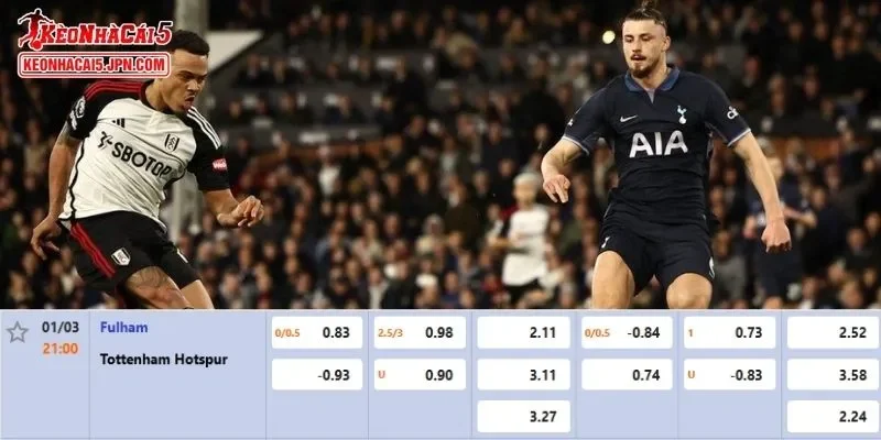 Tỷ lệ kèo chi tiết nhất cho trận đấu giữa Fulham vs Tottenham